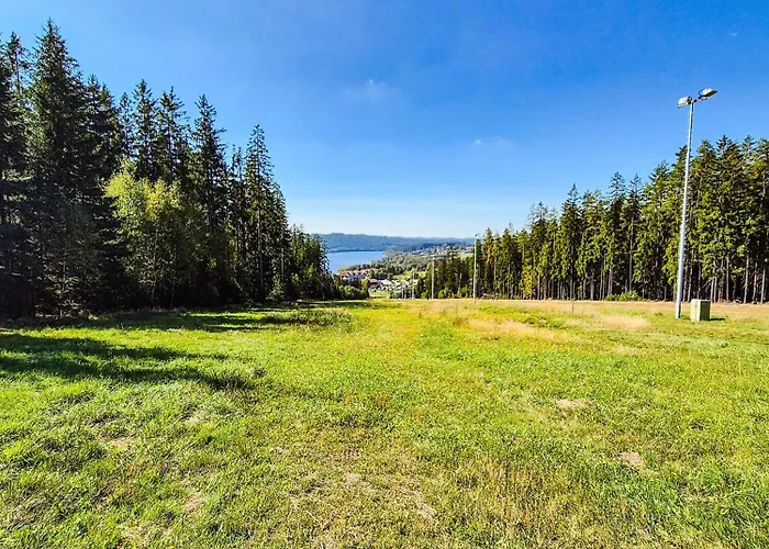 Lipno *